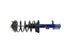 Strut/Coil Spring Assy 181594