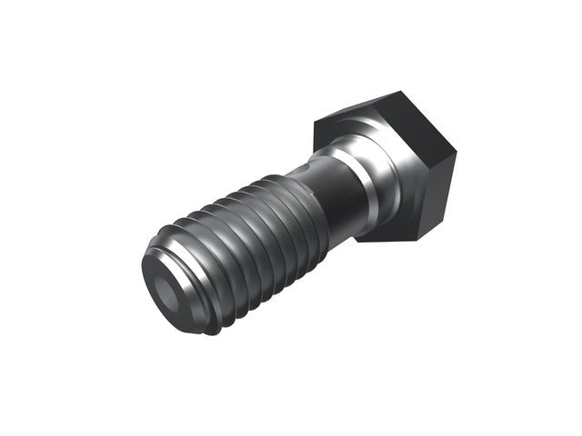 Hose to Caliper Bolt 06510161AA