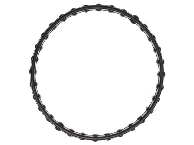 Thermostat Gasket C32869