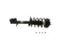 Strut/Coil Spring Assy SR4100