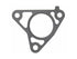 Water Outlet Gasket 35866