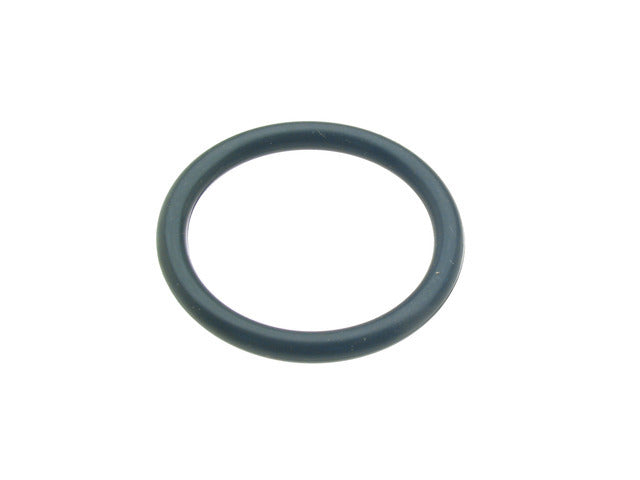 Timing Cover O-Ring 15066-31U03