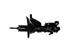 Strut Assembly 72239