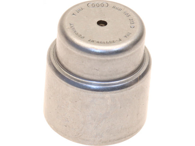 Pilot Bearing 06B 105 313D