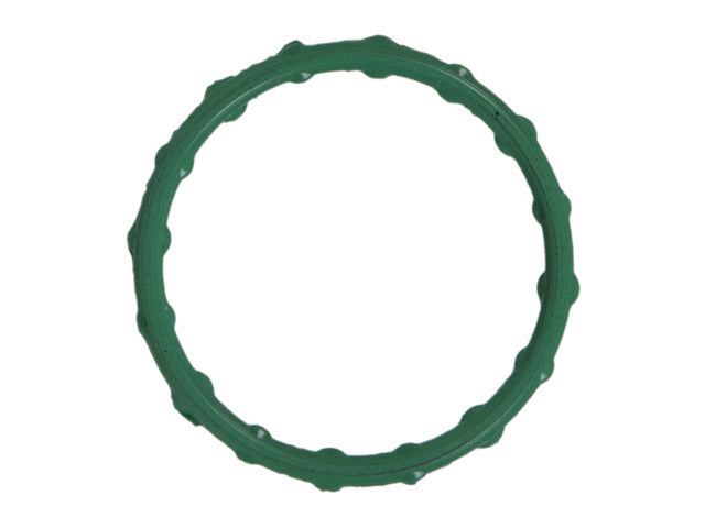 Water Pump Gasket 35973