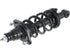 Strut/Coil Spring Assy 2701-524579