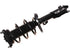 Strut/Coil Spring Assy 2701-717843