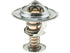 Thermostat 33868