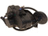 Fuel Door Actuator VAG5N0810773F-100F