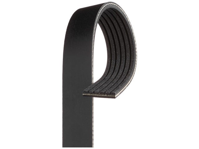 Drive Belt 6K563A