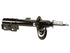 Strut Assembly 474942
