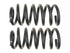 Coil Spring Set 81248