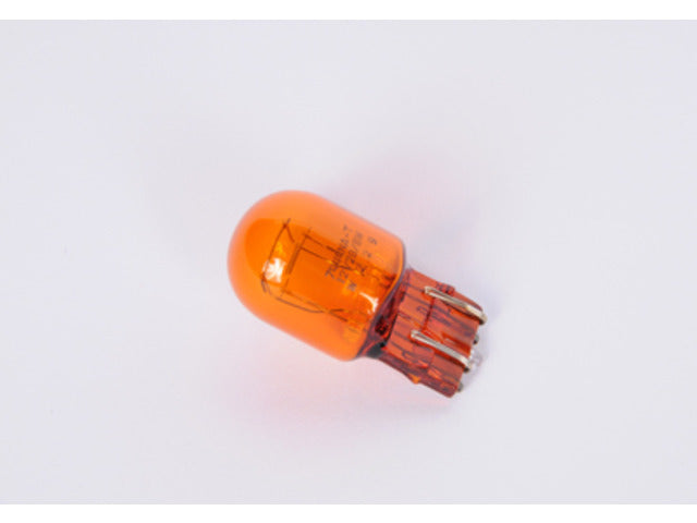Light Bulb 13579188