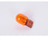 Light Bulb 13579188