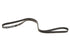 Drive Belt 5060827