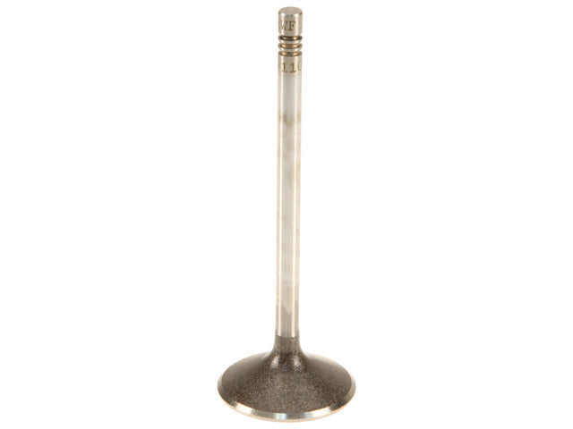 Intake Valve 291109