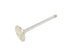 Exhaust Valve 05038753AA