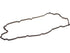 Valve Cover Gasket ACQ110001