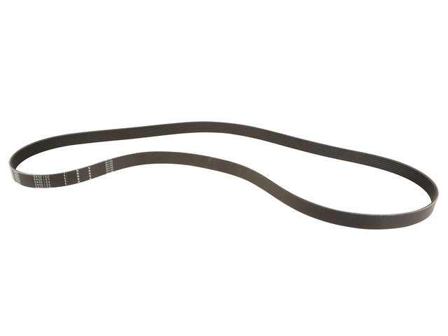 Drive Belt 7PK1695