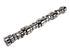 Camshaft 12629512