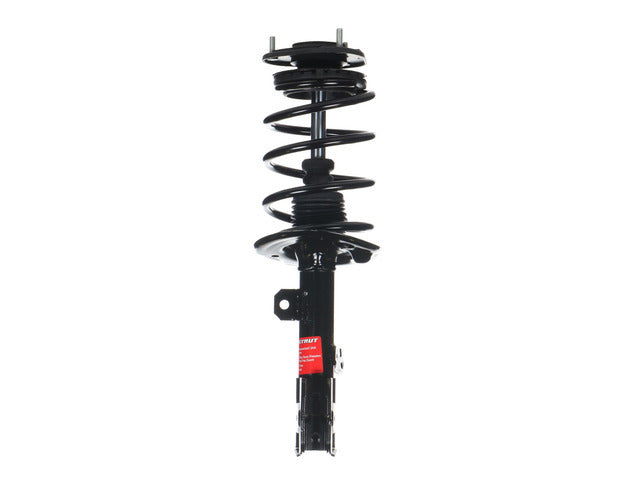 Strut/Coil Spring Assy 172989