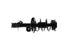 Strut/Coil Spring Assy SR4398