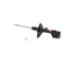 Strut Assembly 339220