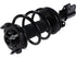 Strut/Coil Spring Assy 2701-545934