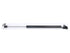 Hatch Strut C6102