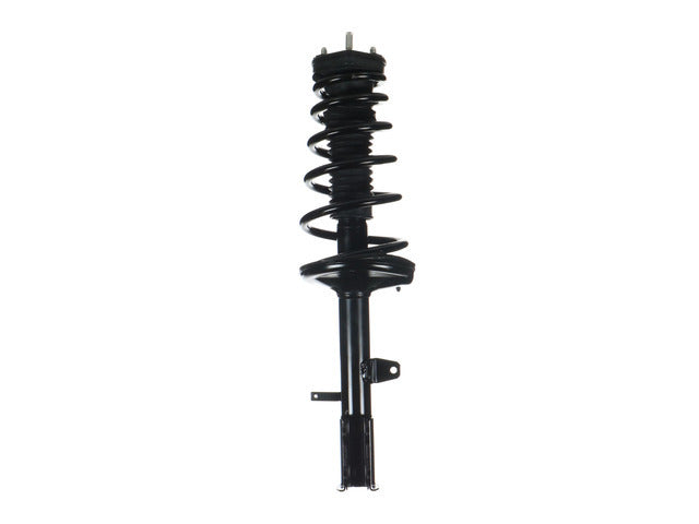 Strut/Coil Spring Assy 172965