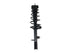 Strut/Coil Spring Assy 172965
