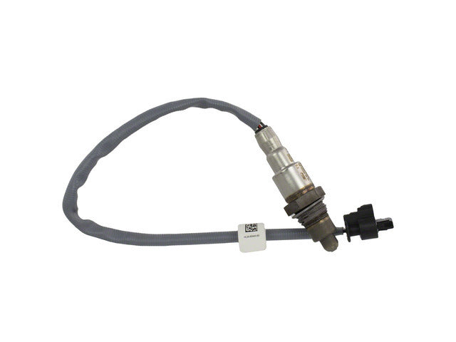 Oxygen Sensor DY-1612