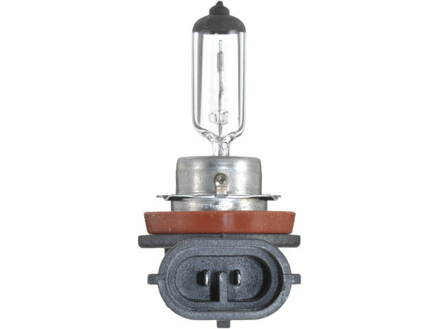 Fog Light Bulb BLBH8