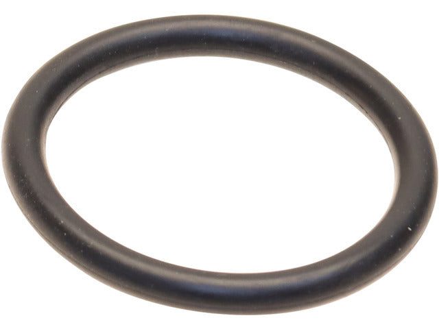 Oil Filter O-Ring AGA220010
