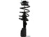 Strut/Coil Spring Assy 172518