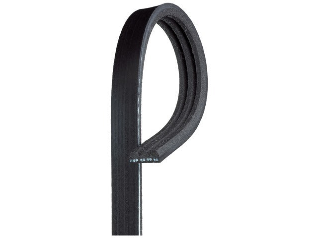 Drive Belt K030305SF