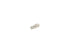 Bulb 1582