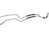 AT Oil Cooler Hose Assembly 624-281