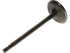 Intake Valve 13201-5JJ0A