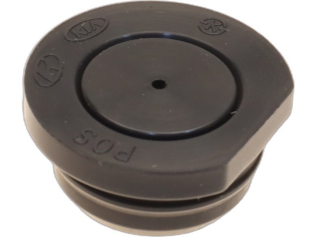 Cam Plug 24352-2GGB0