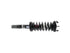 Strut/Coil Spring Assy SR4428