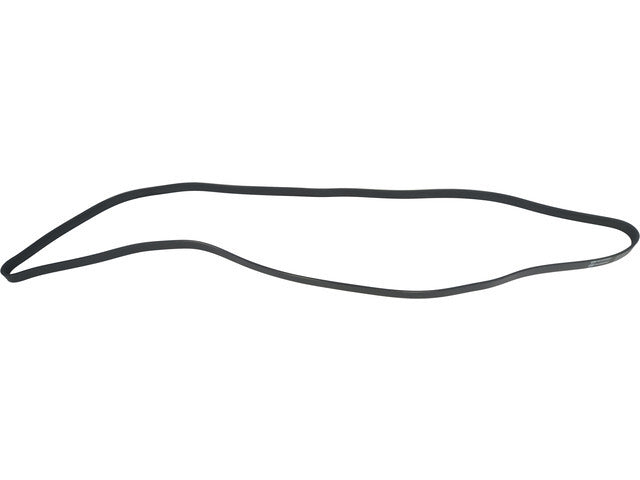 Drive Belt 1602-360356