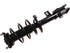 Strut/Coil Spring Assy 2701-717851