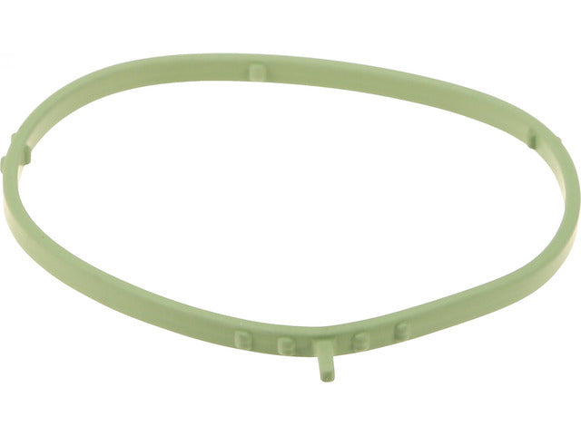FI Throttle Body Mount Gasket 68359029AA