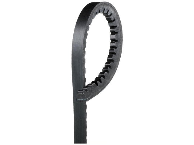 Drive Belt 15435