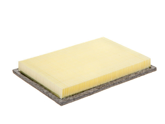 Air Filter A2955CA