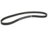 Timing Belt CD318