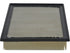 Air Filter 5000-499398