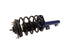 Shock / Strut 181615