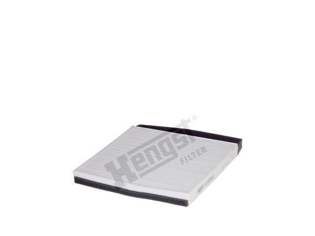 Engine Air Filter E1916LI